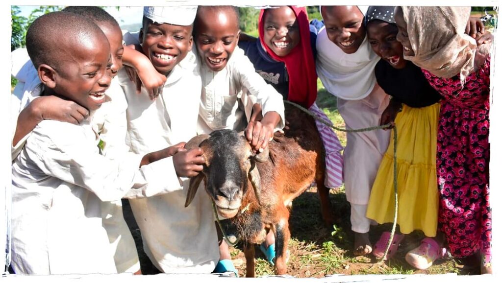 Smiling children playing with a goat in Africa during an Aqiqa sacrifice project.